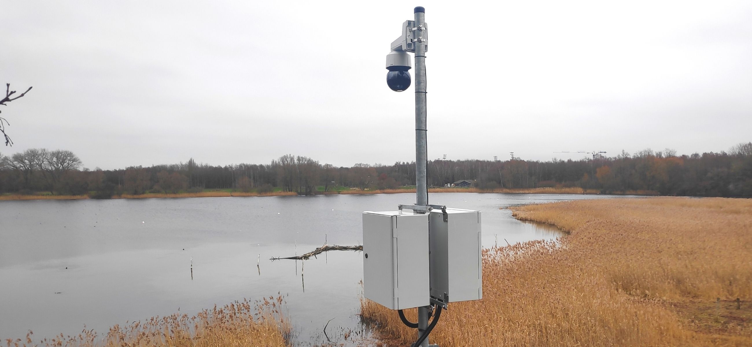 vogelspotcamera